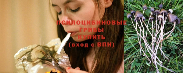 тгк Аркадак