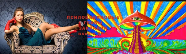 ешки Армянск