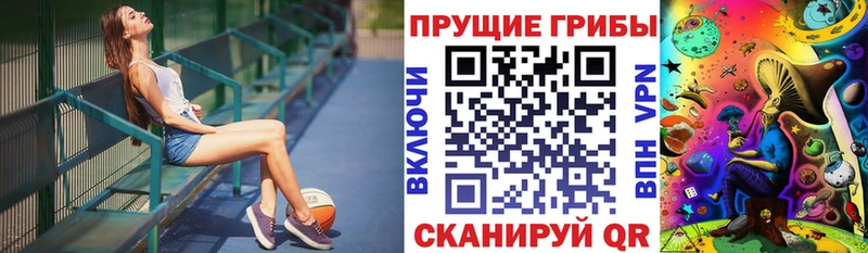 Галлюциногенные грибы Psilocybe  гидра маркетплейс  Кадников 